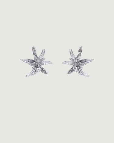 Flower Burst Earrings – Platinum Silver